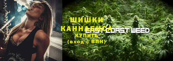 молекула духа Володарск